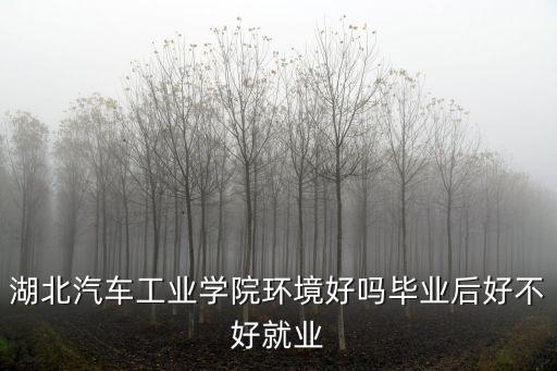 湖北汽車(chē)工業(yè)學(xué)校科技學(xué)院怎么樣,湖北汽車(chē)工業(yè)學(xué)院如何
