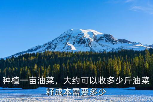 種植一畝油菜，大約可以收多少斤油菜籽成本需要多少