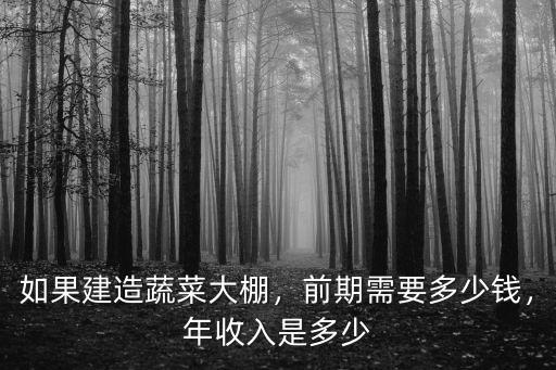 淮南蔬菜大棚一個需要多少錢,前期需要多少錢