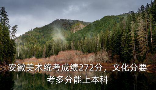 安徽美術375分考多少過線,藝考美術考什么