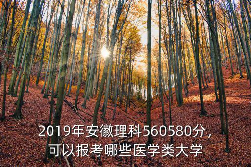 安徽醫(yī)專多少分可以上2019,可以報考哪些醫(yī)學(xué)類大學(xué)