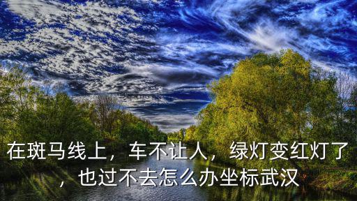在斑馬線上，車不讓人，綠燈變紅燈了，也過不去怎么辦坐標(biāo)武漢