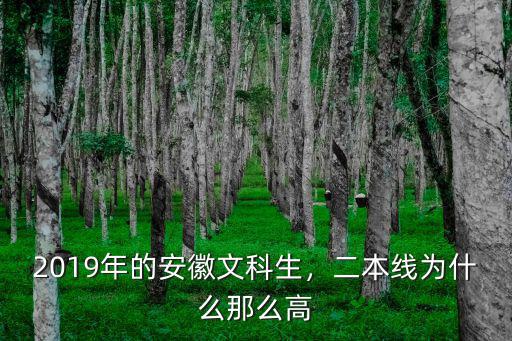 安徽去年文科生多少人,安徽文科生多少分能上985