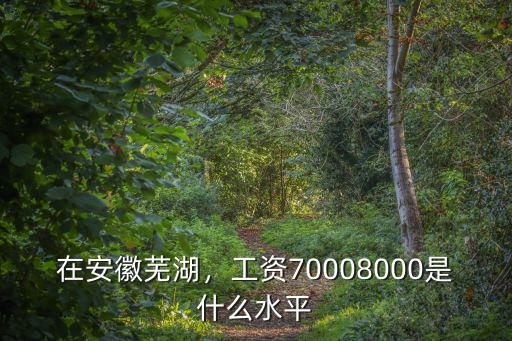 在安徽蕪湖，工資70008000是什么水平