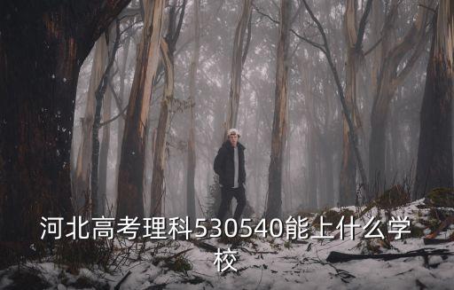 河北高考理科排名多少能上一本,河北高考理科530