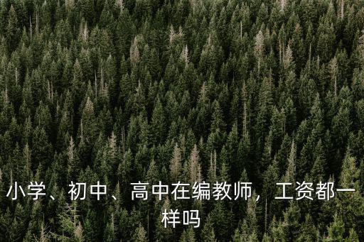 小學、初中、高中在編教師，工資都一樣嗎