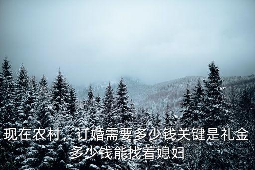 現在農村，訂婚需要多少錢關鍵是禮金多少錢能找著媳婦