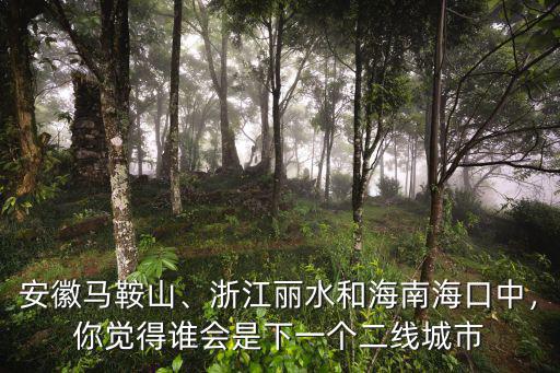 安徽馬鞍山、浙江麗水和海南海口中，你覺得誰會是下一個二線城市