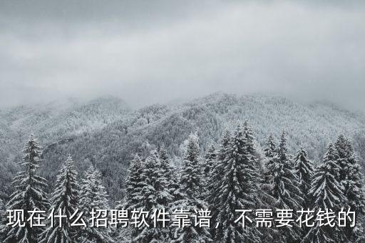 六安求職招聘軟件開發需要多少錢,現在什么招聘軟件靠譜