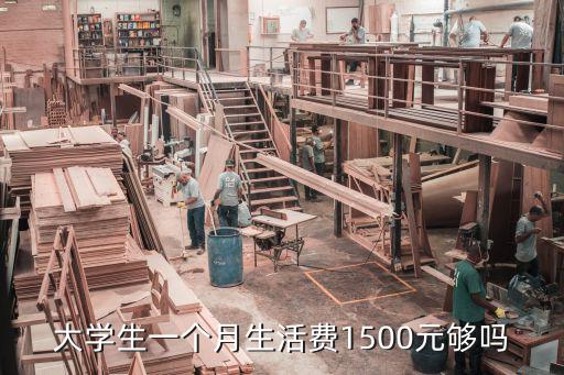 承德大學生一個月生活費多少,大學生一個月生活費多少合適