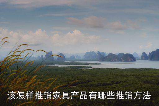 武漢安裝家具怎么推銷自己,家具實(shí)體店怎么銷售