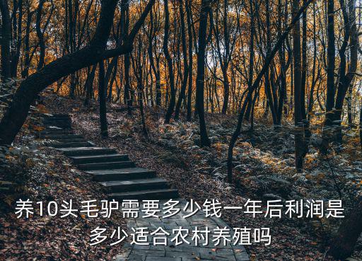 保定養驢多少錢一個,養10頭毛驢需要多少錢