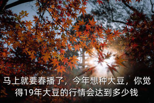 河南周口今年種一畝大豆補貼多少錢,種植大豆每畝地補貼多少錢