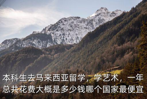本科生去馬來(lái)西亞留學(xué)，學(xué)藝術(shù)，一年總共花費(fèi)大概是多少錢(qián)哪個(gè)國(guó)家最便宜