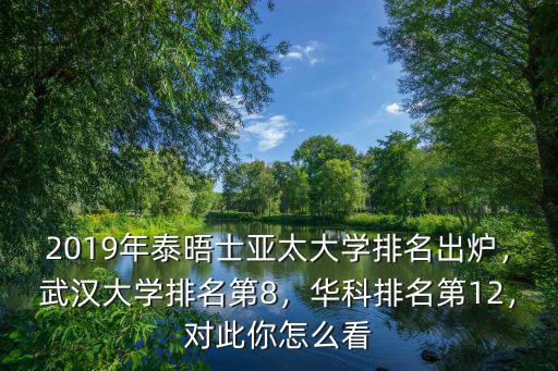 2019年泰晤士亞太大學排名出爐，武漢大學排名第8，華科排名第12，對此你怎么看