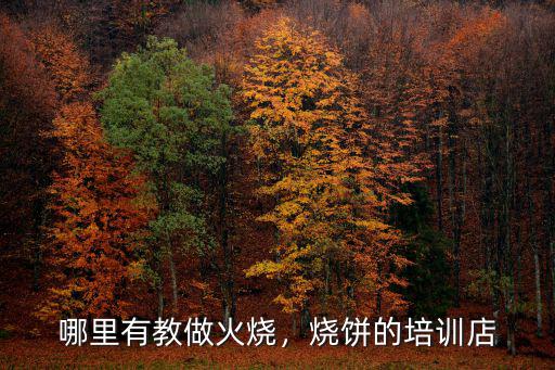 周口哪里有培訓做燒餅,哪里有教做火燒