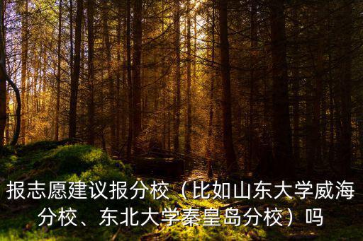 報考東北大學秦皇島分校需多少分,東北大學秦皇島分校