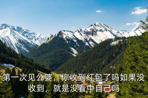 第一次見公婆，你收到紅包了嗎如果沒收到，就是沒看中自己嗎