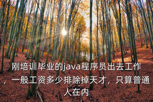 石家莊程序員一個月工資一般多少,一般工資多少