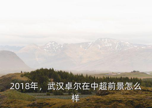 2018年，武漢卓爾在中超前景怎么樣