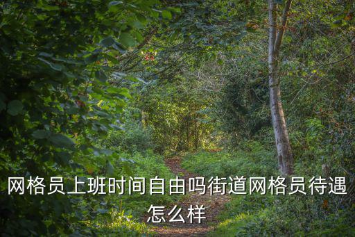 十堰市網格員待遇怎么樣,街道網格員待遇怎么樣