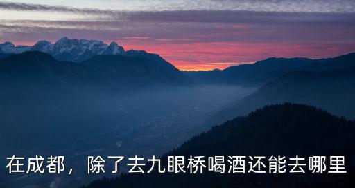 成都醉酒最多的地方是哪里,成都最好玩的酒吧