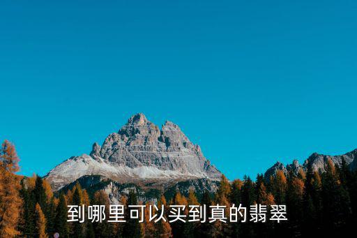 在成都哪里可以買到真品翡翠,到哪里可以買到真的翡翠