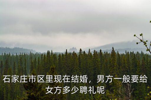 石家莊市區(qū)里現(xiàn)在結(jié)婚，男方一般要給女方多少聘禮呢