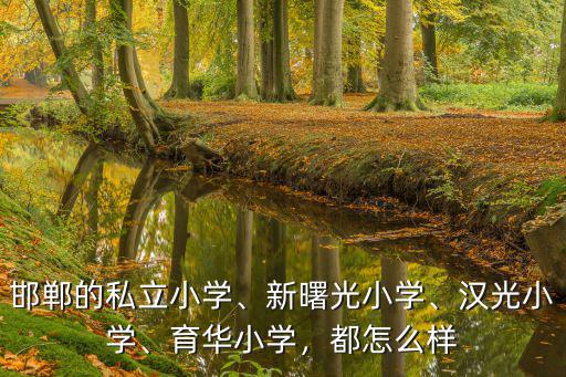 邯鄲的私立小學、新曙光小學、漢光小學、育華小學，都怎么樣