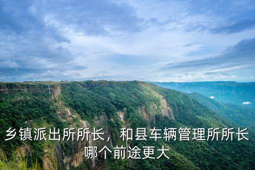 石家莊派出所所長工資多少,鄉鎮派出所所長