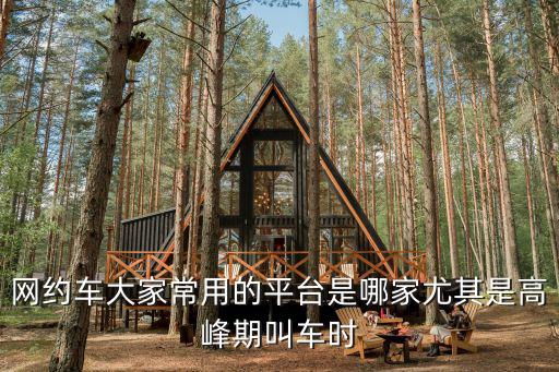 網約車大家常用的平臺是哪家尤其是高峰期叫車時