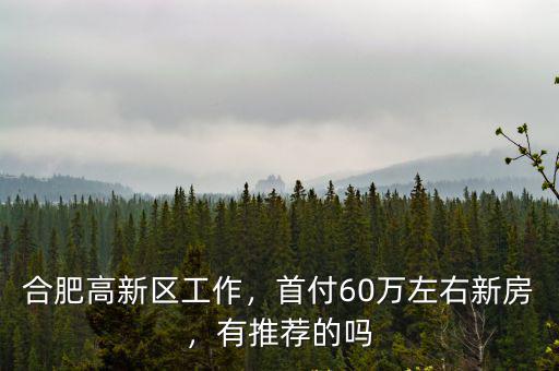 合肥高新區工作，首付60萬左右新房，有推薦的嗎