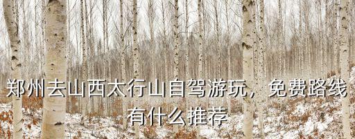 從鄭州自駕太原怎么玩,自駕從河南新鄉出發