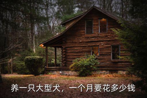 衡水養(yǎng)犬一個(gè)月多少錢,一個(gè)月要花多少錢