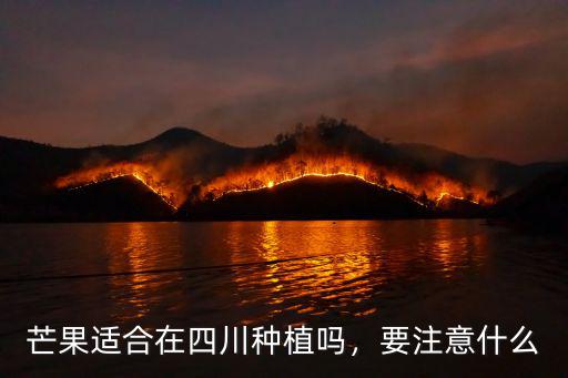 四川的芒果基地在哪里,哪里的芒果最好吃