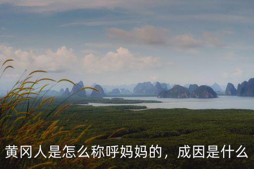 湖北黃岡媽媽怎么稱呼,黃岡人是怎么稱呼媽媽的