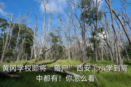 陜西黃岡的學校怎么樣,黃岡師范學院怎么樣