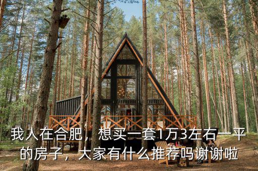 我人在合肥，想買一套1萬3左右一平的房子，大家有什么推薦嗎謝謝啦