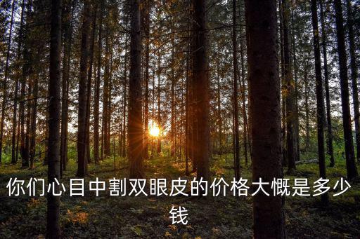 你們心目中割雙眼皮的價格大慨是多少錢