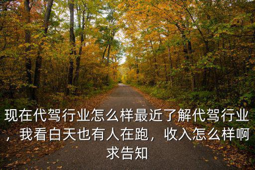 平頂山代駕行業(yè)怎么樣,現(xiàn)在代駕行業(yè)怎么樣