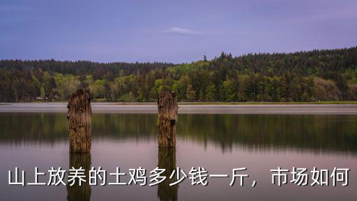 保定散養公雞多少錢一斤,現在土雞價格多少錢一斤