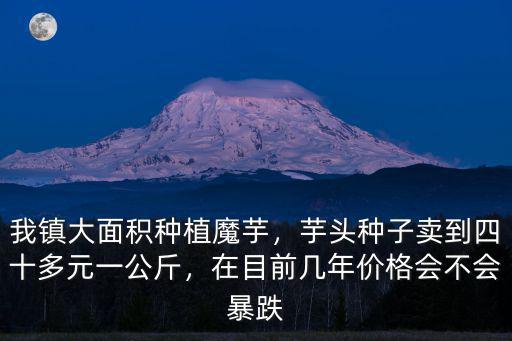 四川哪里有魔芋種子多少錢一公斤,芋頭種子賣到四十多元一公斤