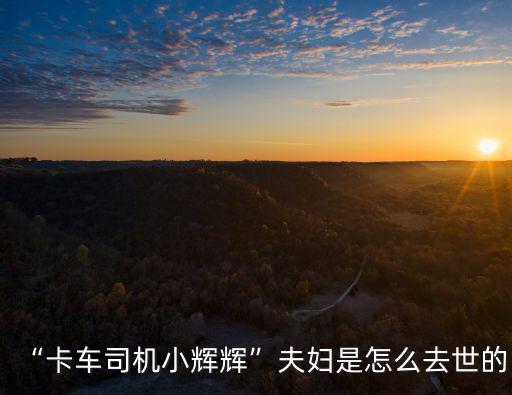 “卡車司機(jī)小輝輝”夫婦是怎么去世的