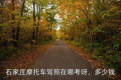 石家莊摩托車駕照在哪考呀，多少錢