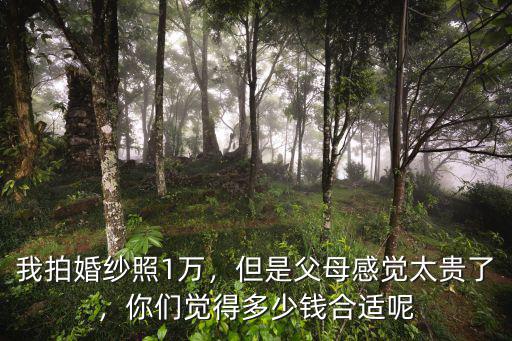 我拍婚紗照1萬，但是父母感覺太貴了，你們覺得多少錢合適呢