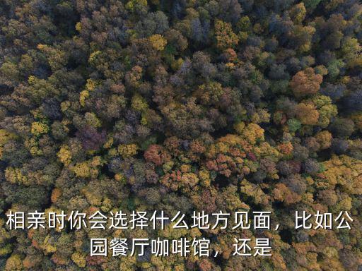 相親時你會選擇什么地方見面，比如公園餐廳咖啡館，還是
