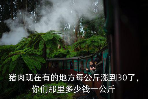 豬肉現(xiàn)在有的地方每公斤漲到30了，你們那里多少錢一公斤
