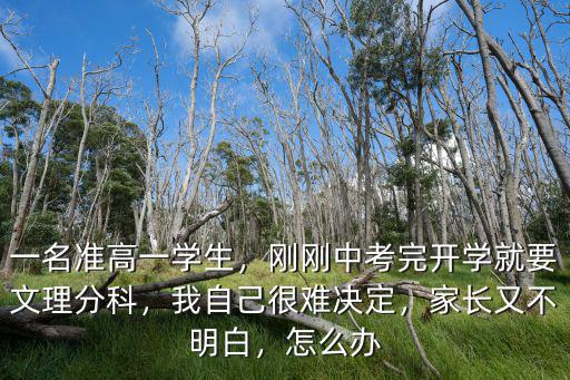 一名準高一學生，剛剛中考完開學就要文理分科，我自己很難決定，家長又不明白，怎么辦