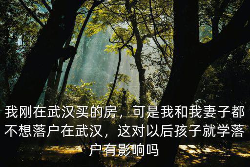落戶到武漢以后怎么辦,武漢大學生的落戶政策是什么
