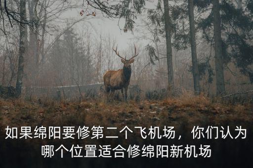 如果綿陽要修第二個飛機場，你們認為哪個位置適合修綿陽新機場